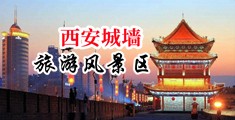 想看小美女日逼破处视频中国陕西-西安城墙旅游风景区